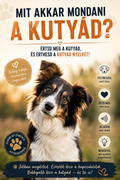 Mit akar mondani a kutyád? – Értsd meg a kutyád nyelvét!