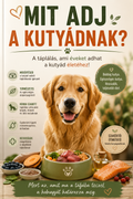 Mit adj a kutyádnak? – A táplálás, ami éveket adhat a kutyád életéhez!